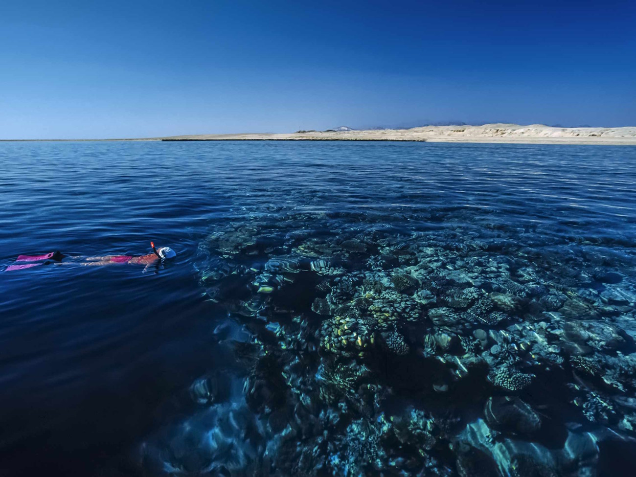 Les activités nautiques à ne pas manquer sur la mer Rouge en Egypte